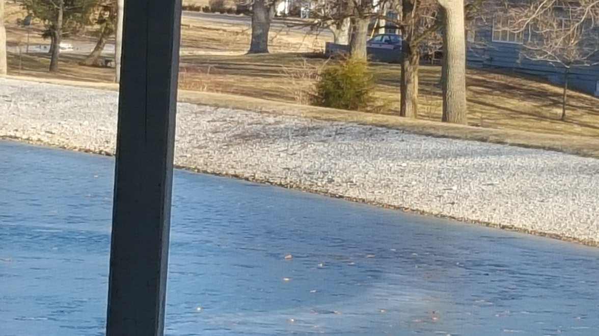 20160221_085405 (2).jpg