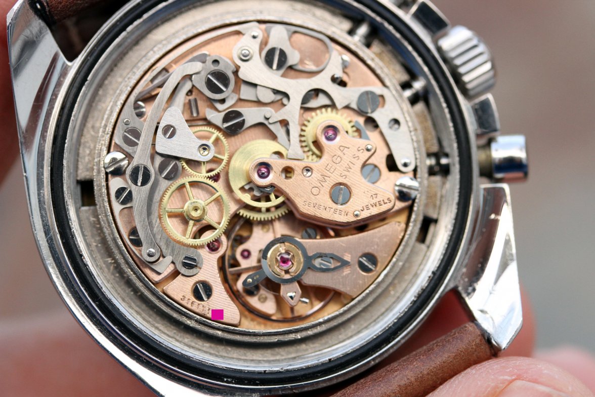 IMG_6483.jpg IMG_6483.jpg