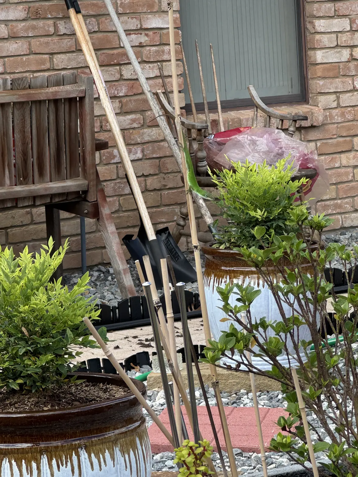IMG_0986.webp