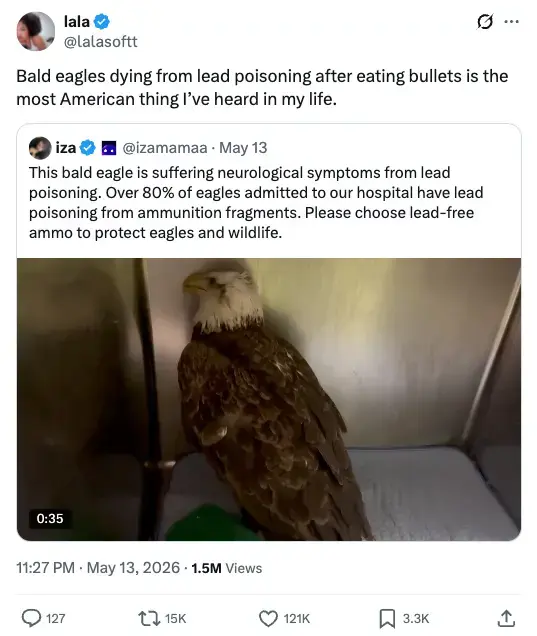 Eagles8.webp