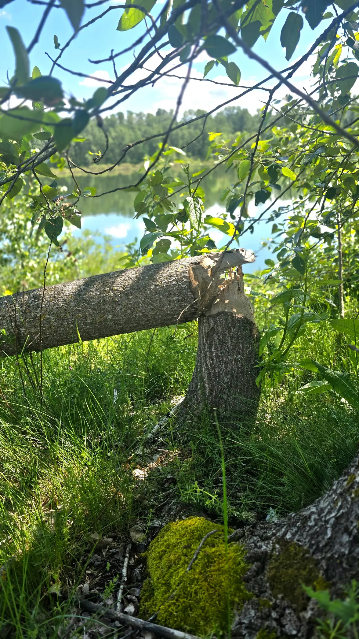 20260517_150740.webp