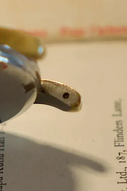 DSC07721.webp