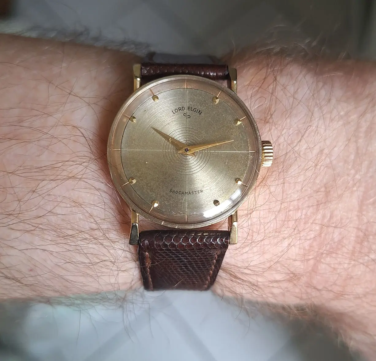 Lord Elgin Panorama wristshot 02.webp