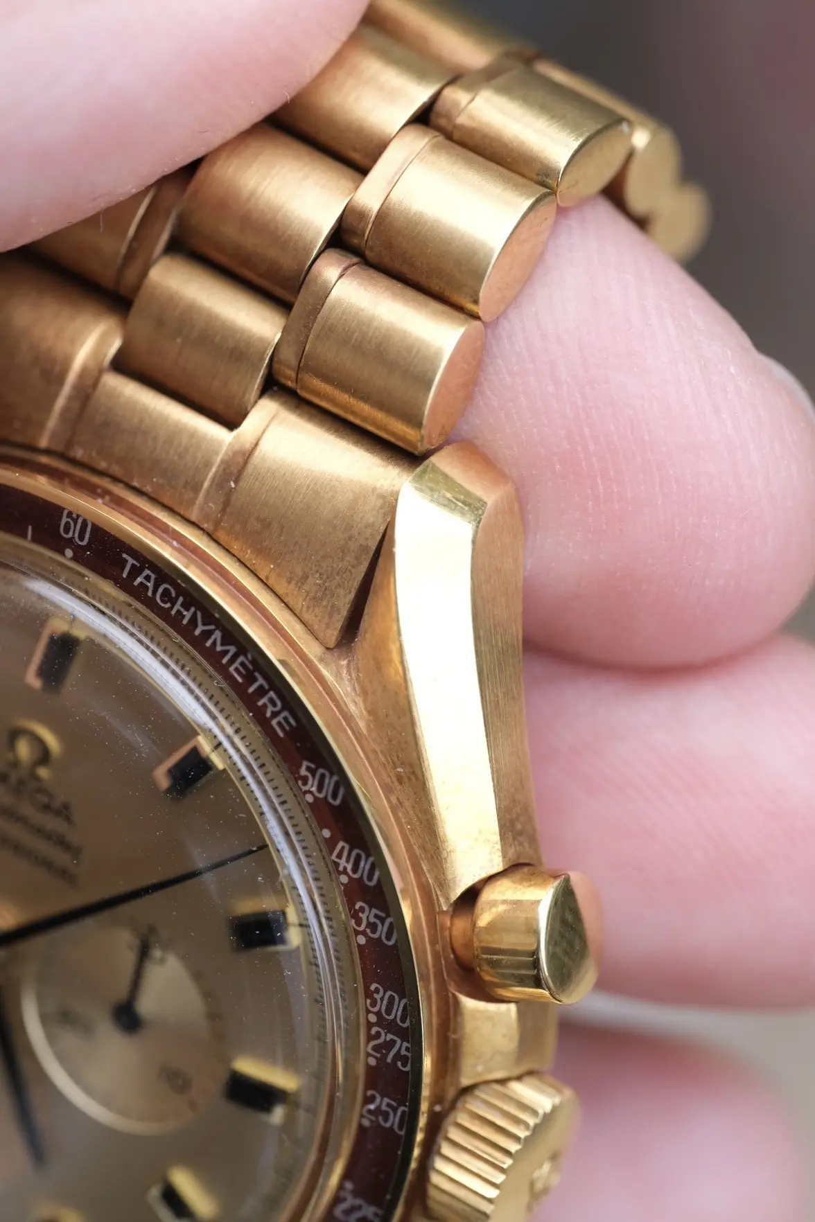 DSCF5564.webp