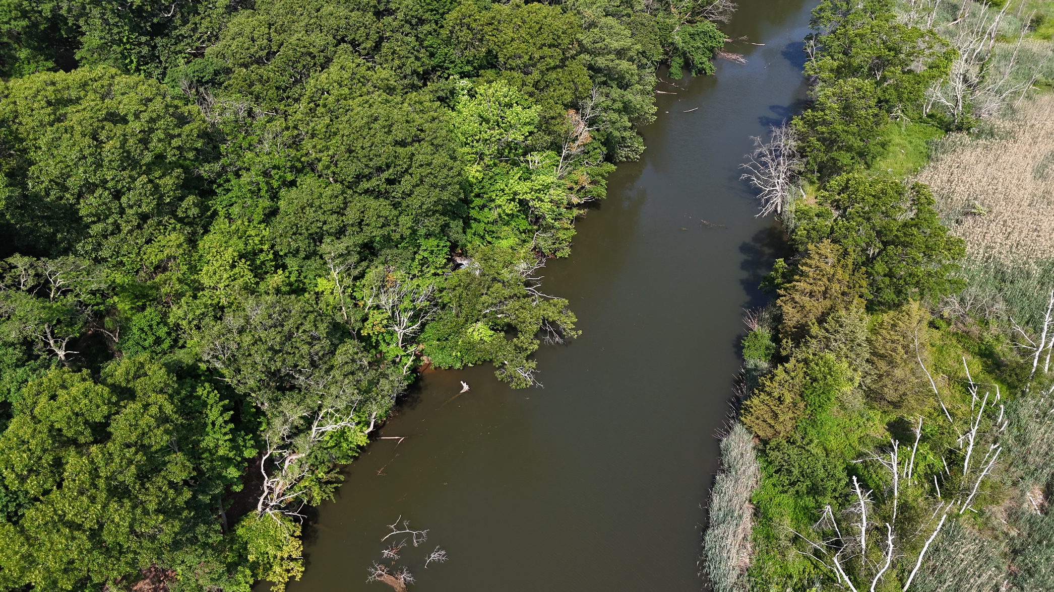 dji_fly_20260611_093104_0030_1781185687948_photo_beautify.webp