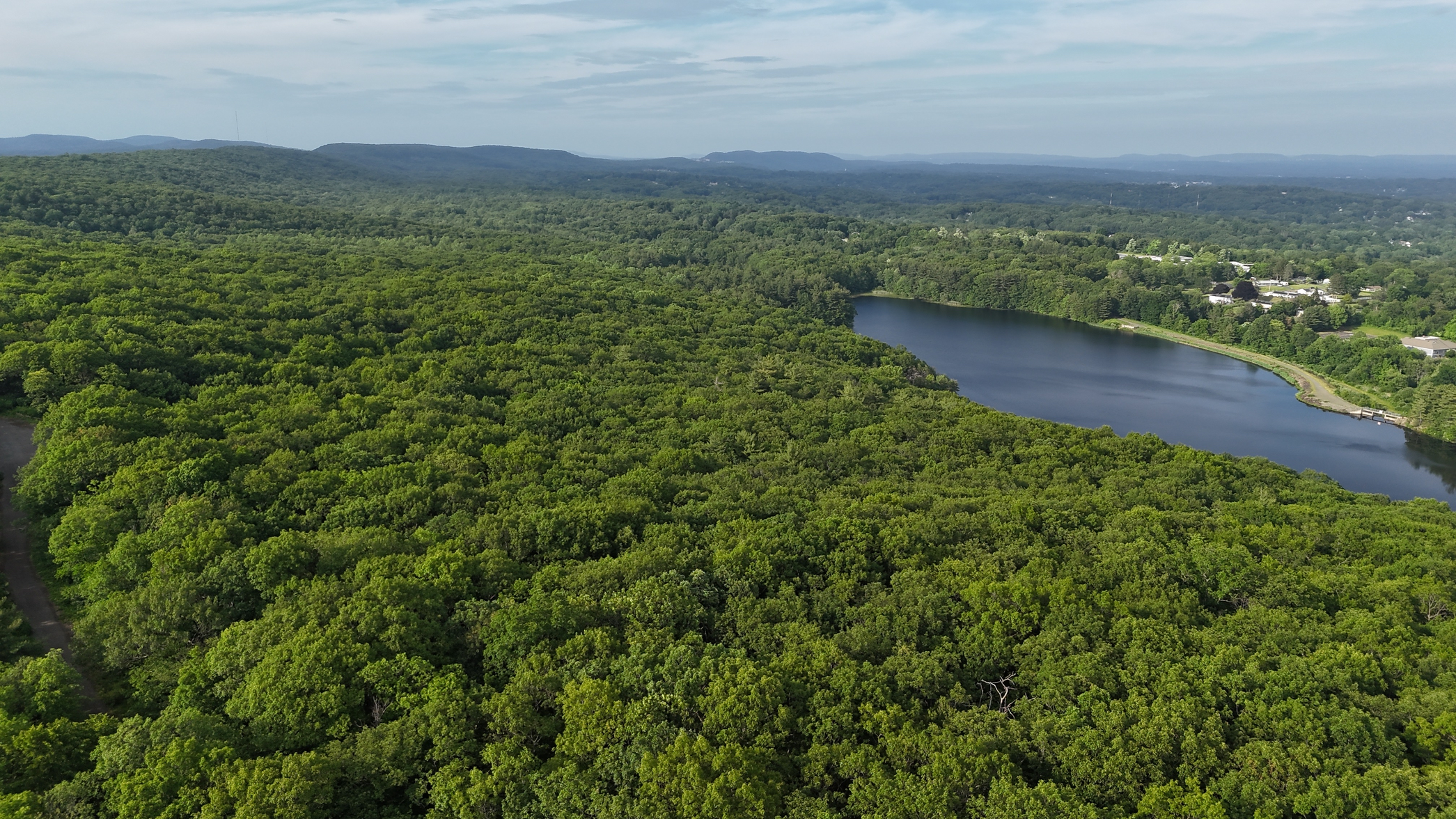 dji_fly_20260610_180042_0026_1781185711288_photo_beautify.webp