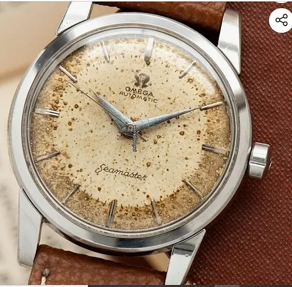 omega tropical h.webp