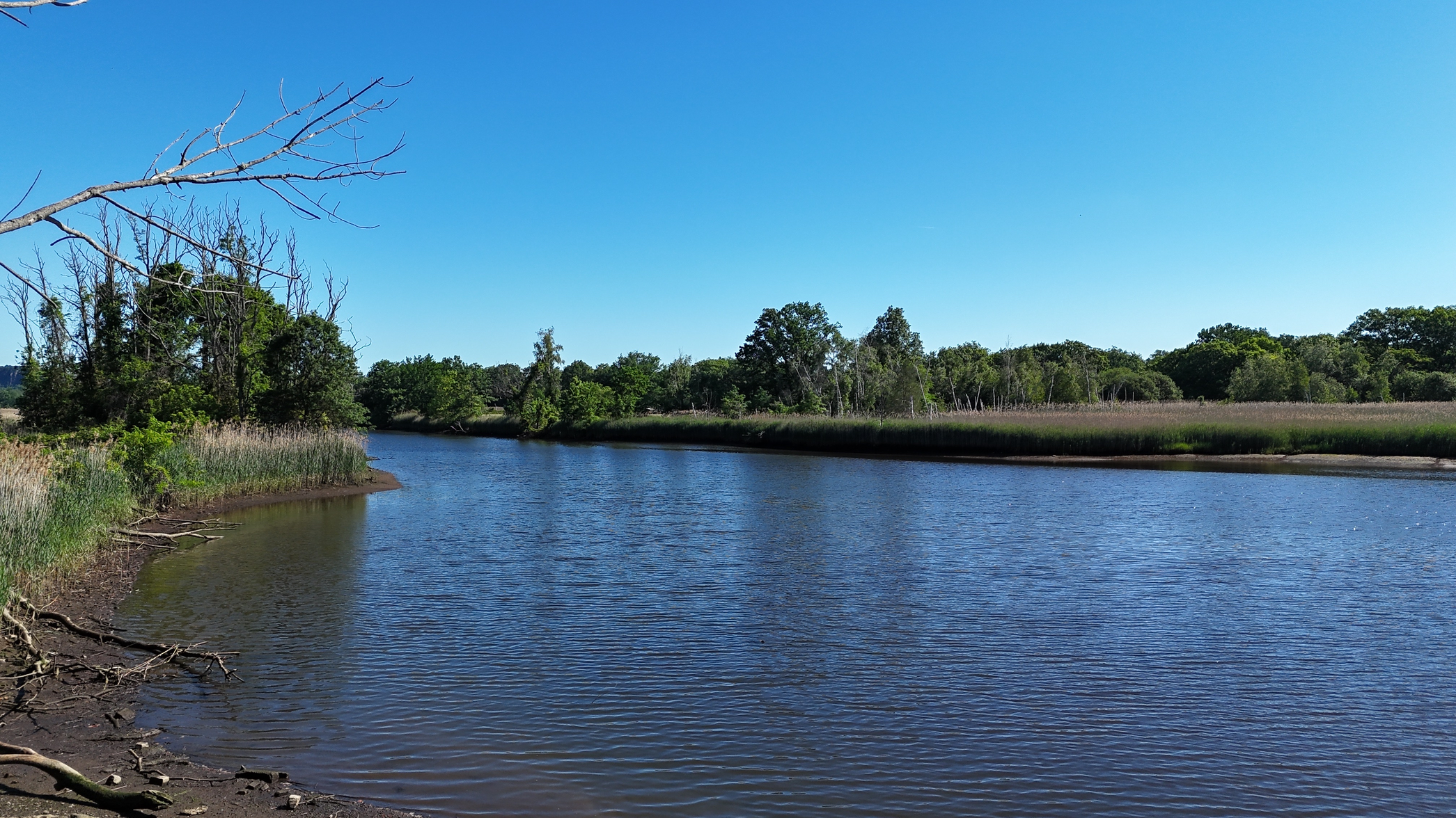 dji_fly_20260616_090800_0013_1781615347340_photo_beautify.webp