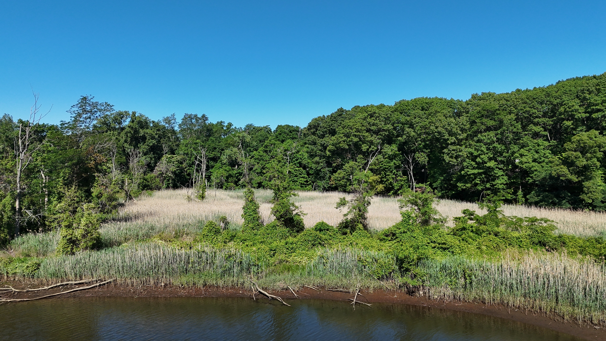 dji_fly_20260616_090624_0010_1781615360268_photo_beautify.webp