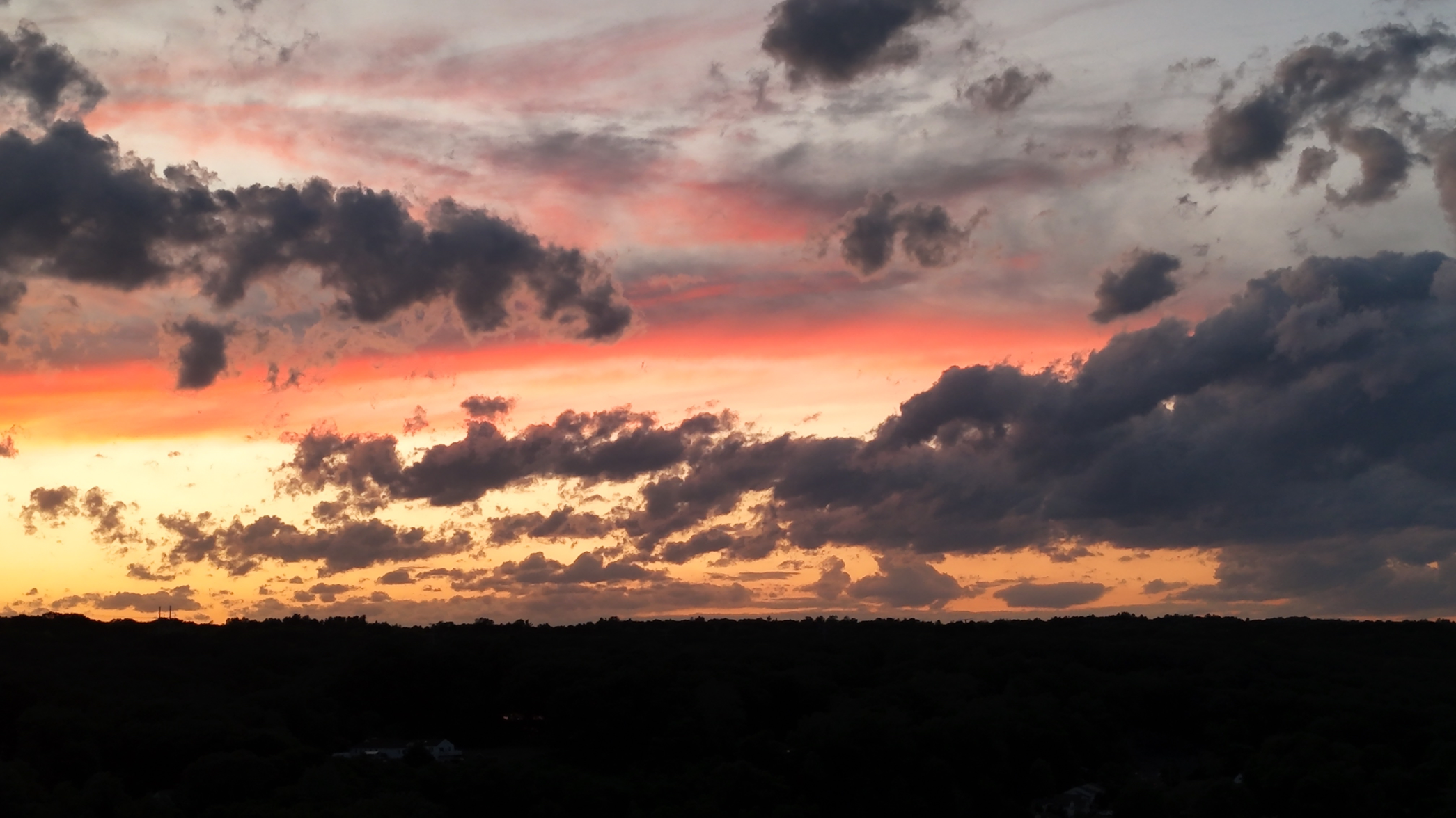 dji_fly_20260618_204636_0008_1781830123349_photo_beautify.webp