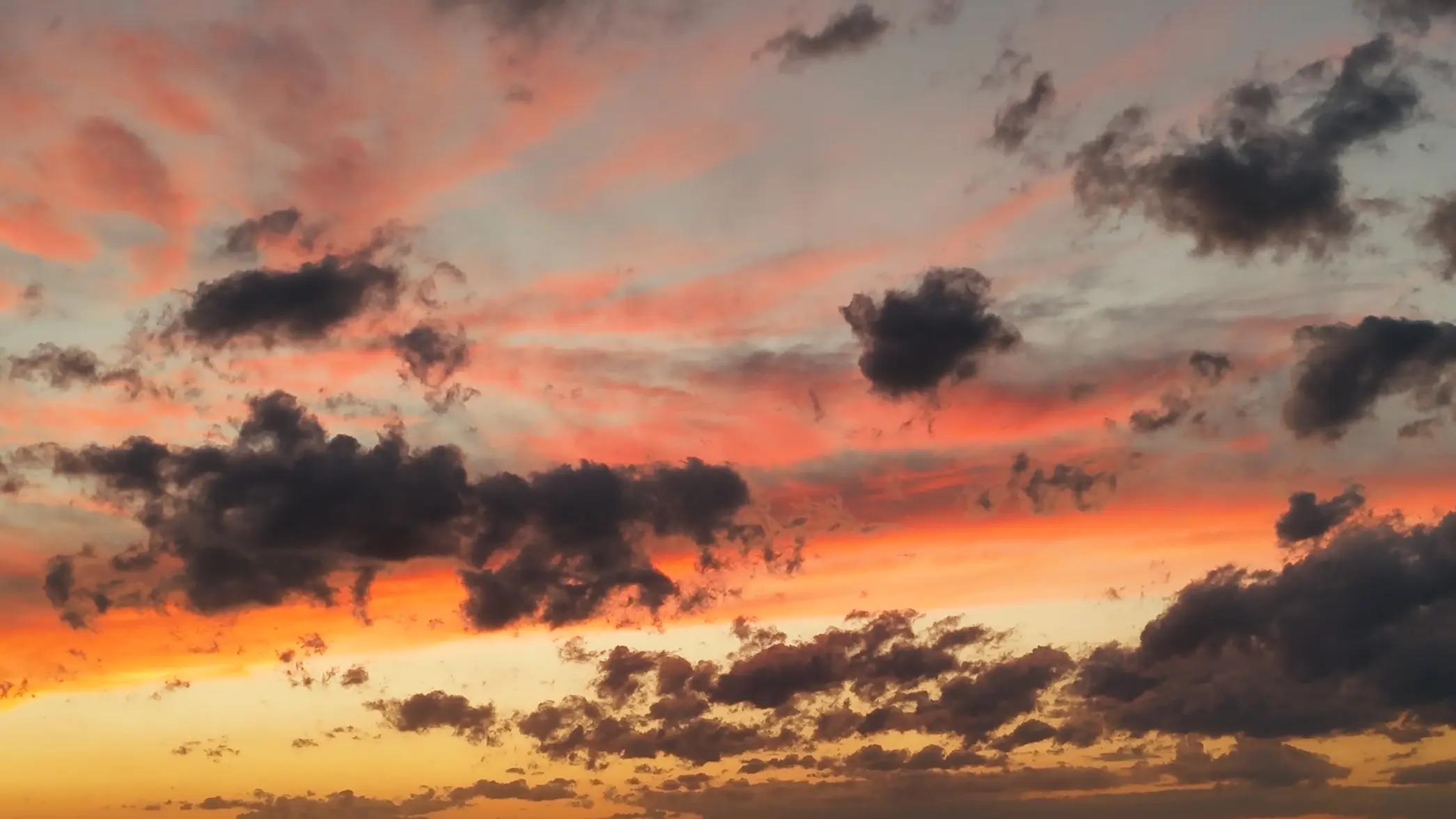 dji_fly_20260618_204502_0007_1781830130693_photo_beautify.webp
