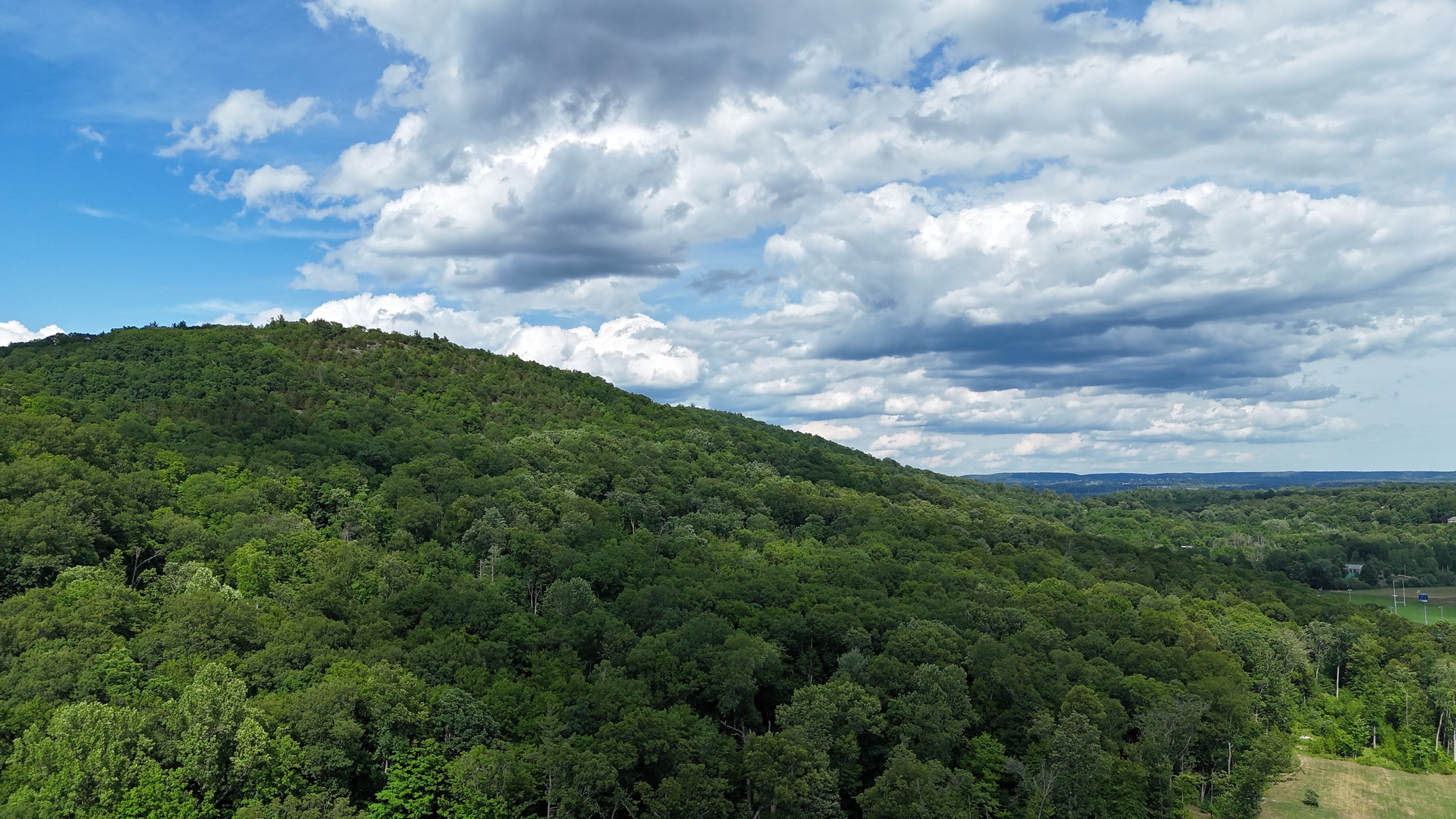 dji_fly_20260619_154656_0013_1781898533585_photo_beautify.webp