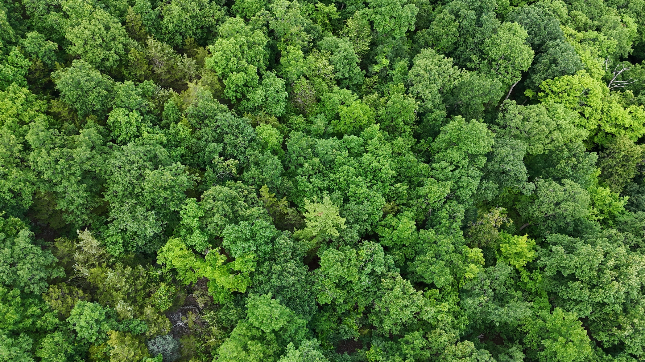 dji_fly_20260619_153910_0007_1781898577897_photo_beautify.webp