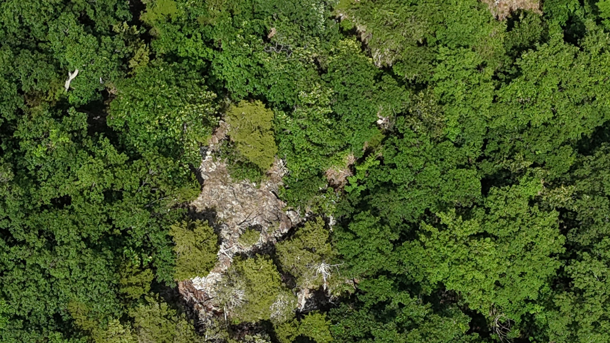 dji_fly_20260619_153814_0006_1781898586149_photo_beautify.webp