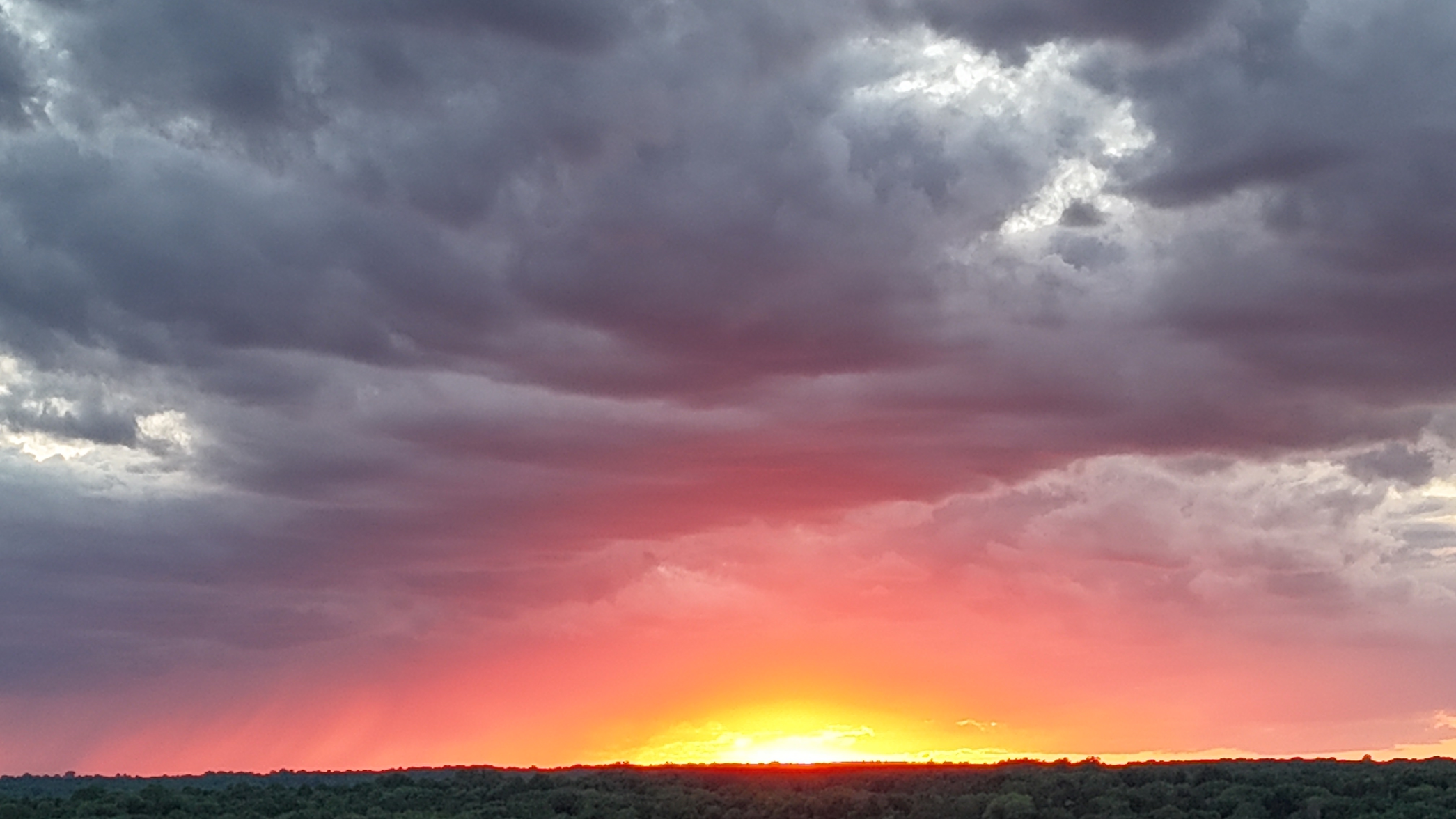 dji_fly_20260619_202604_0006_1781915416837_photo_beautify.webp