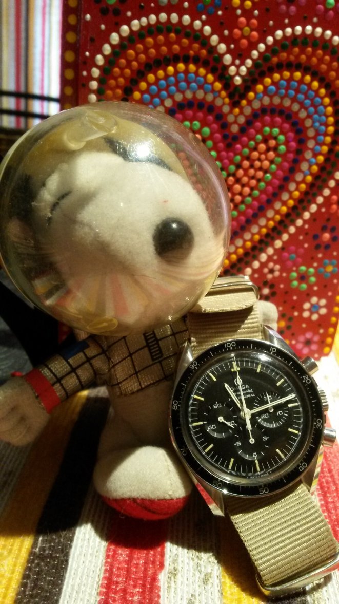 20160223_111302 (1).jpg