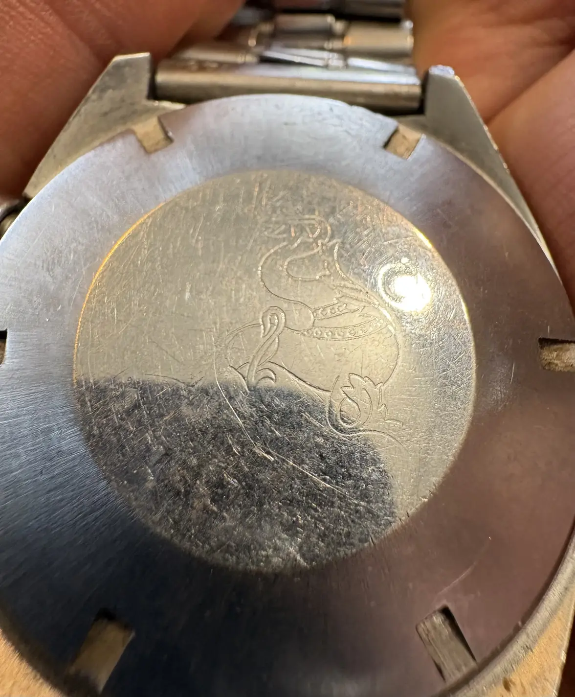 sm_002.webp sm_002.webp