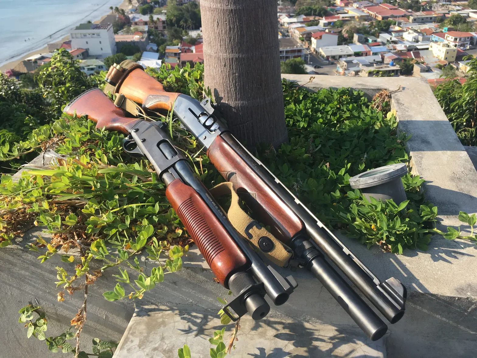 Shotgun-pair.webp
