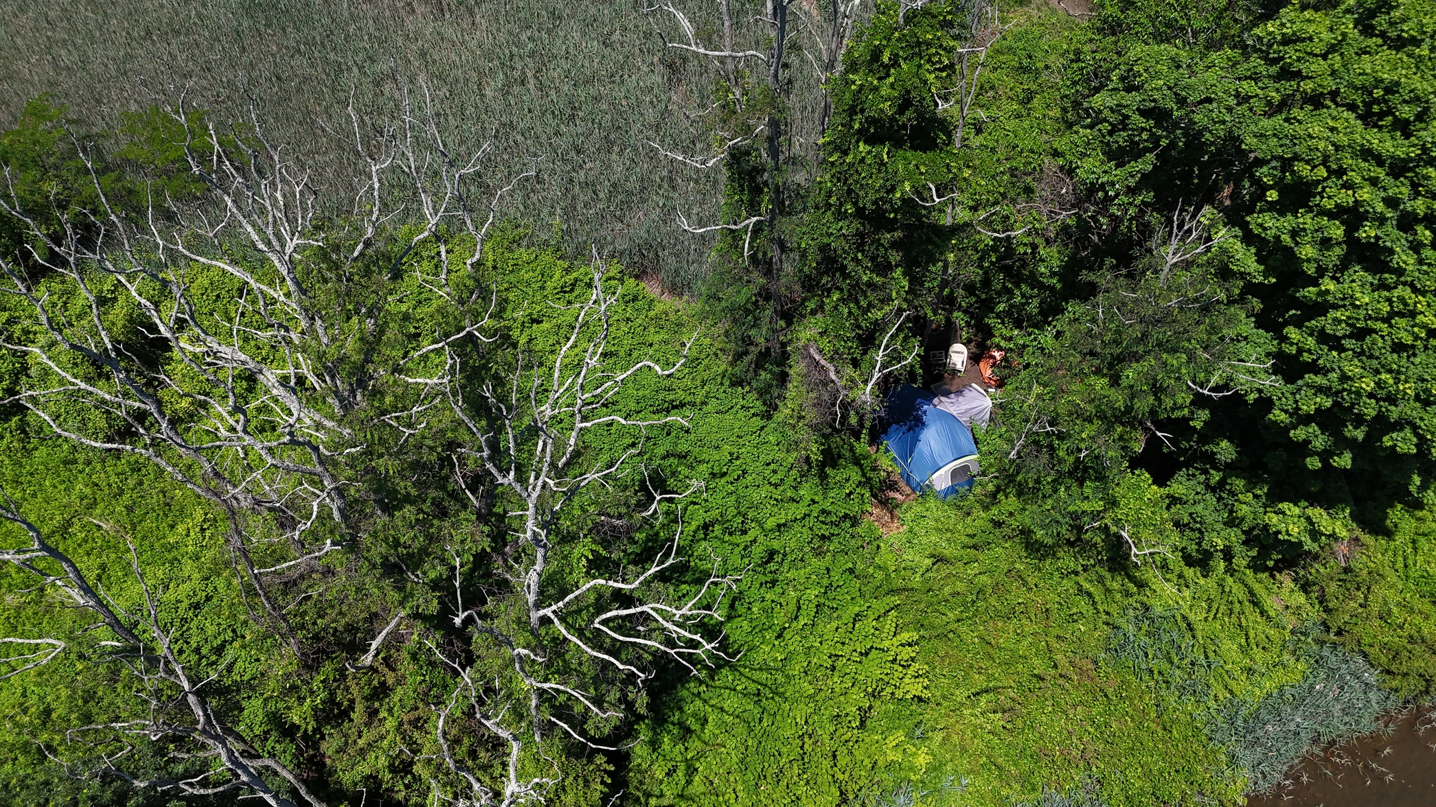 dji_fly_20260624_115004_0032_1782328888025_photo_beautify.webp