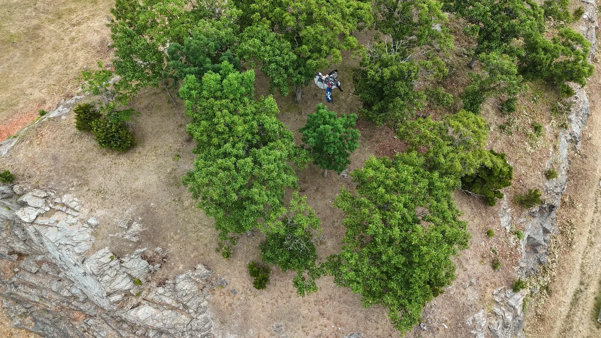 dji_fly_20260622_094310_0009_1782171531701_photo_beautify.webp