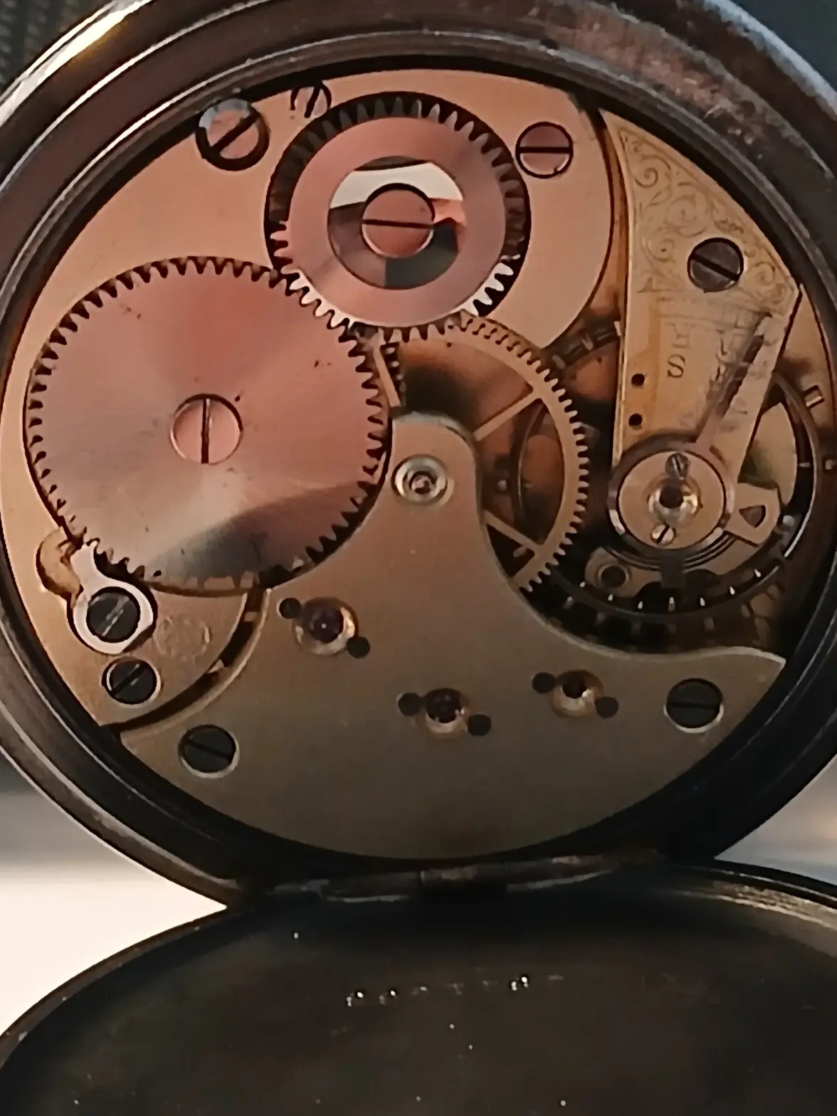 omega mechanical.webp