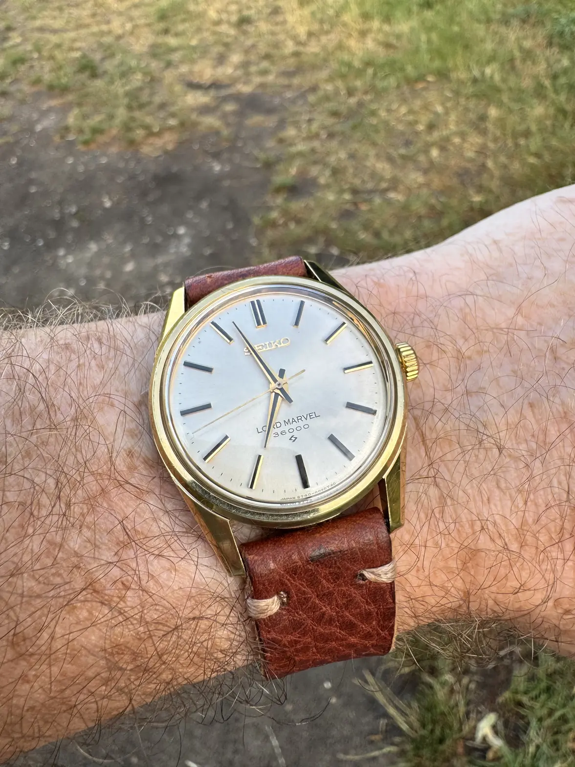 IMG_7866.webp