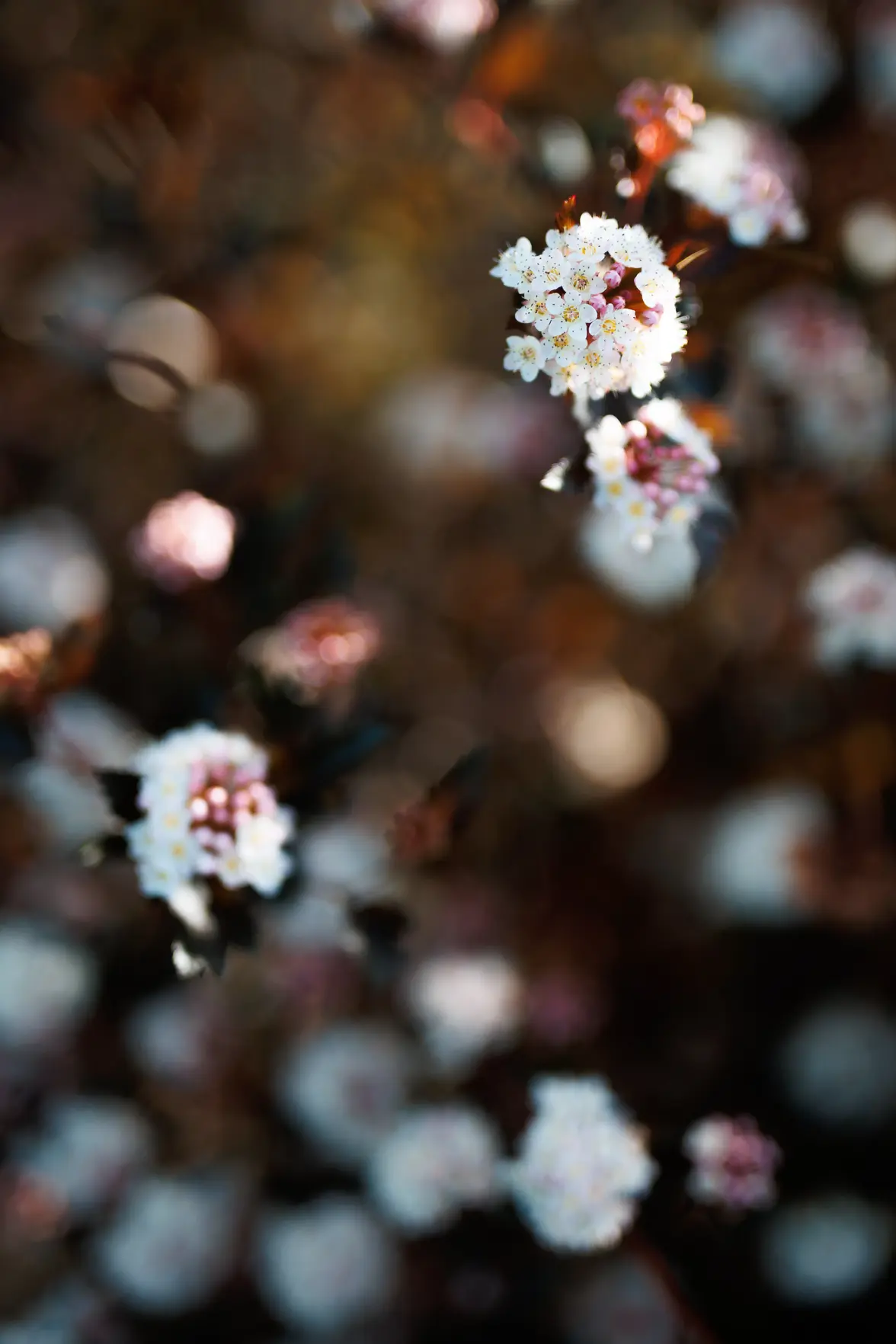 9H7A1138.webp