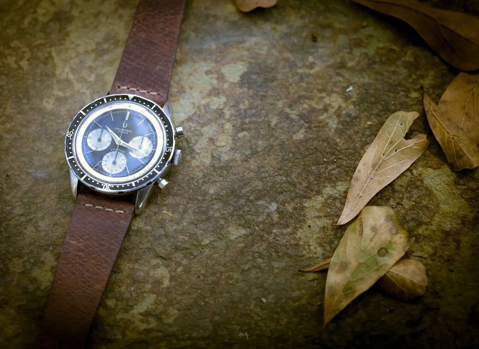 L1010157-2sm.webp