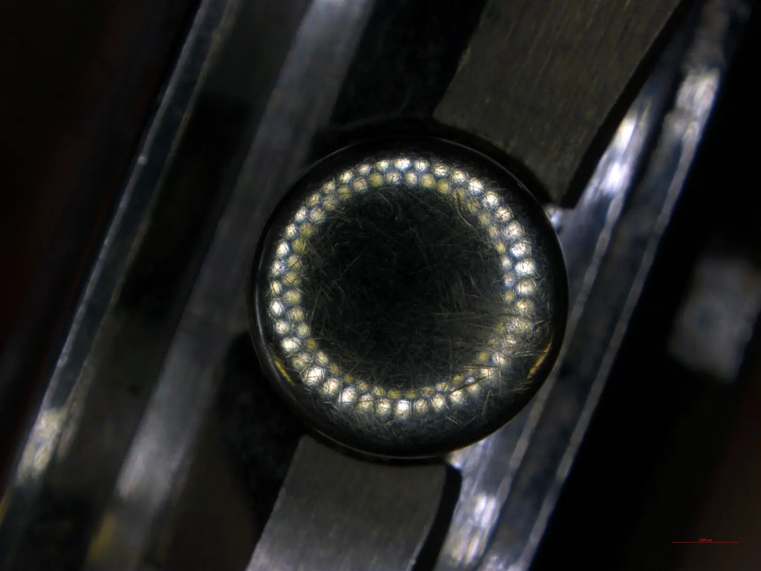 Image--02--02.webp