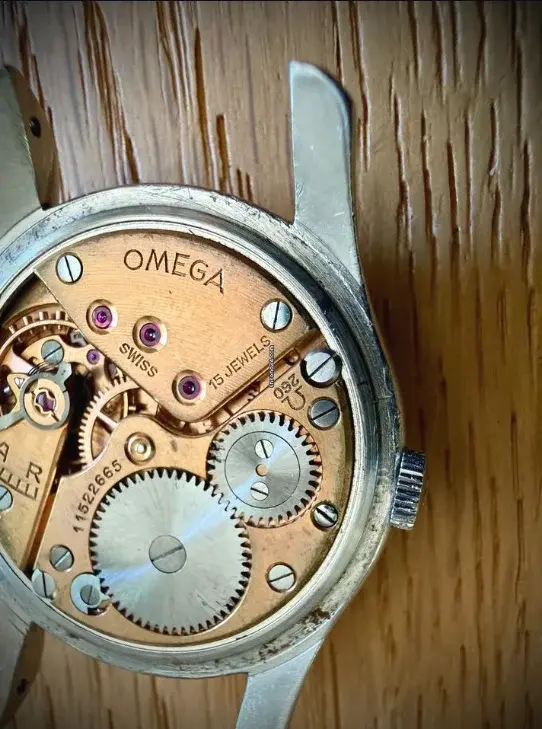 omega4.webp