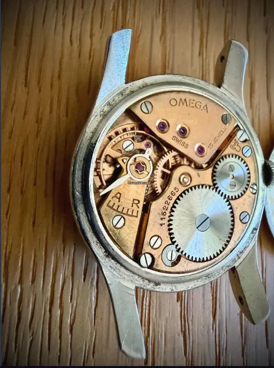 omega5.webp