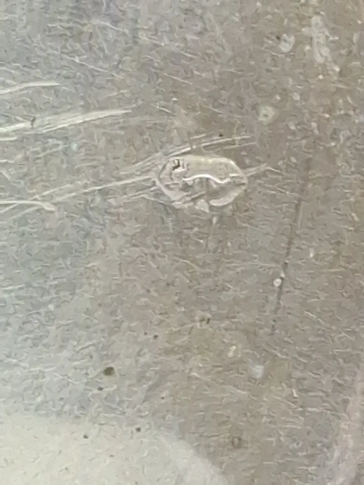 image-1781974001950.webp