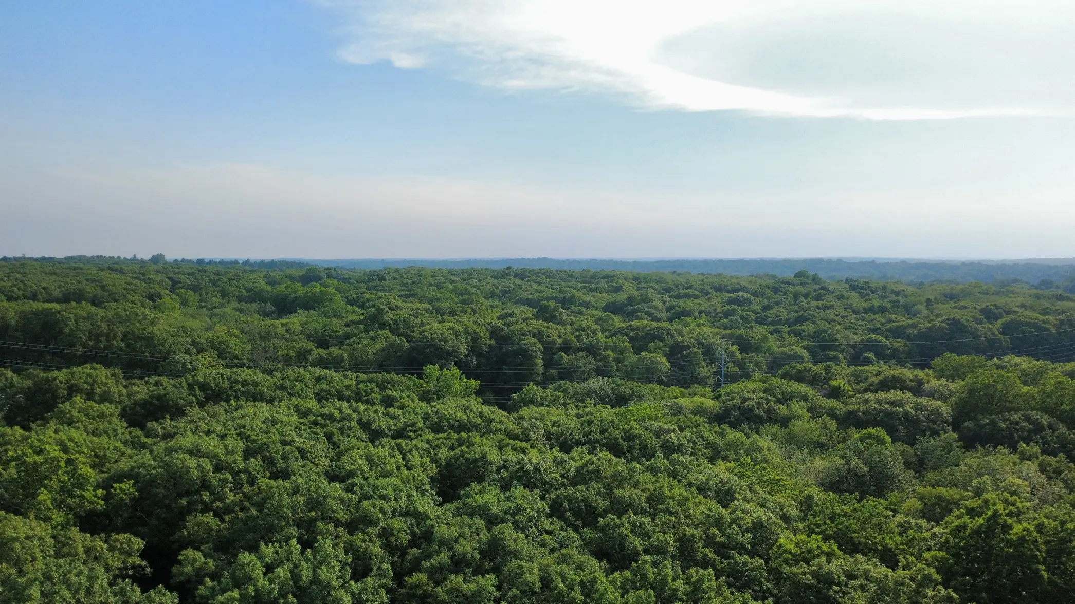dji_fly_20260701_174440_14_1782942299240_photo_optimized.webp