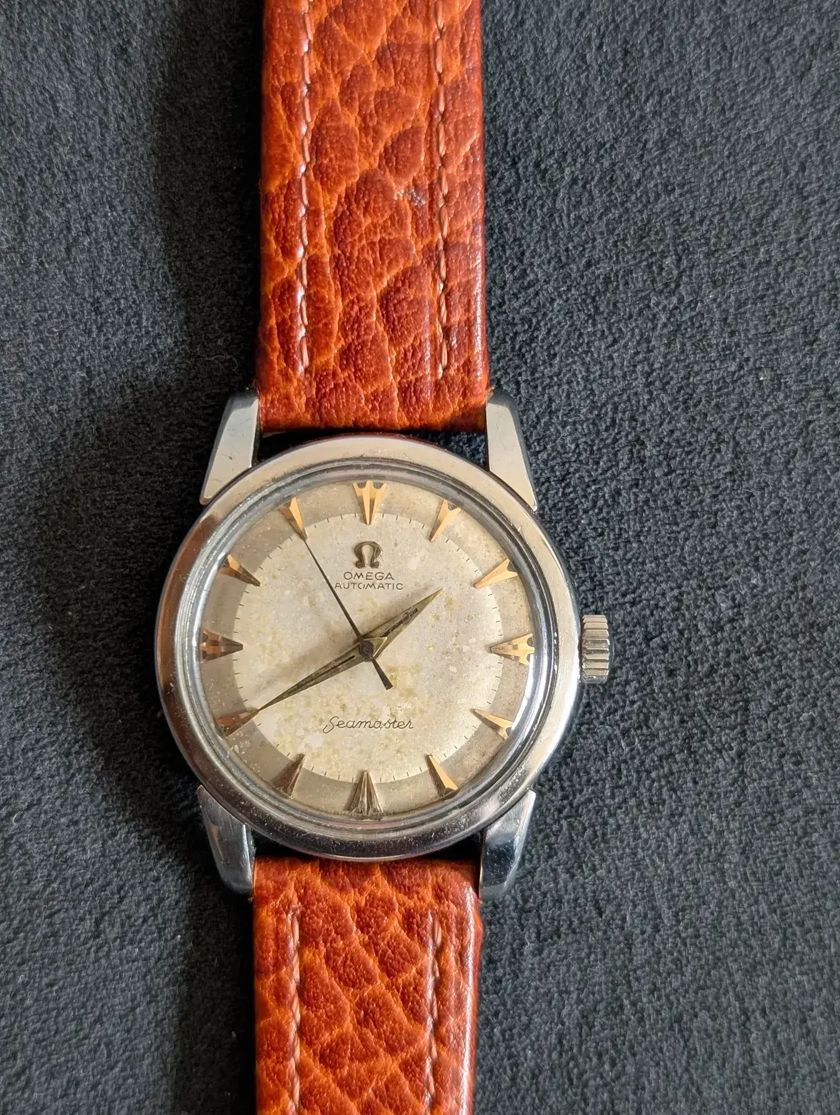 IMG_8278.webp