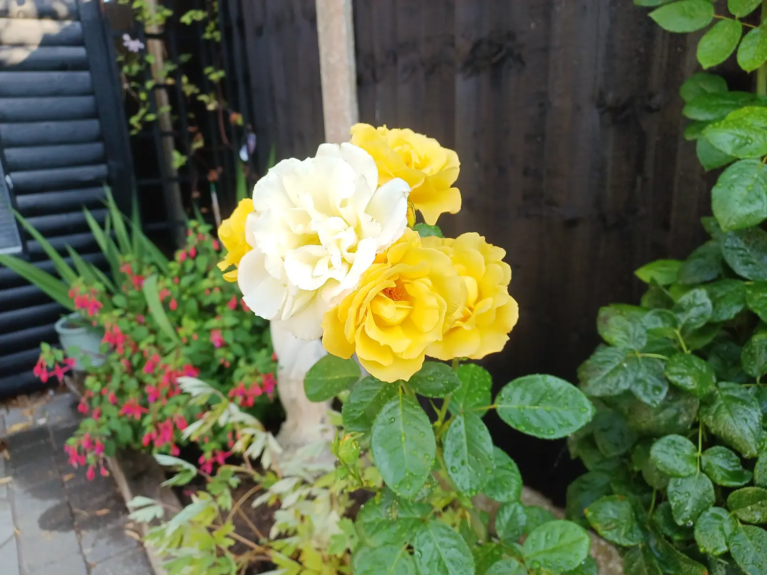 20260709_081127.webp
