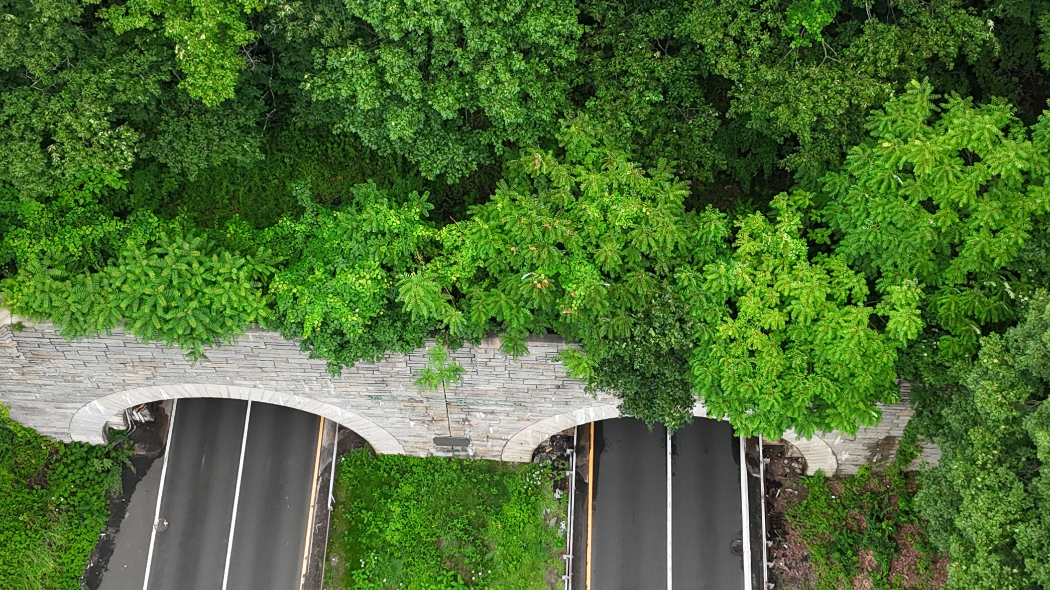 dji_fly_20260707_170512_0106_1783642175008_photo_beautify.webp