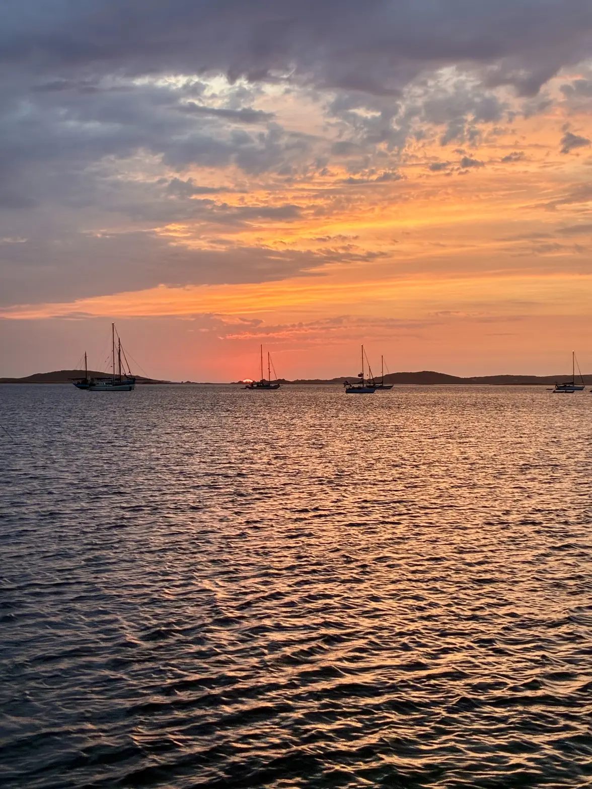 IMG_1093.webp