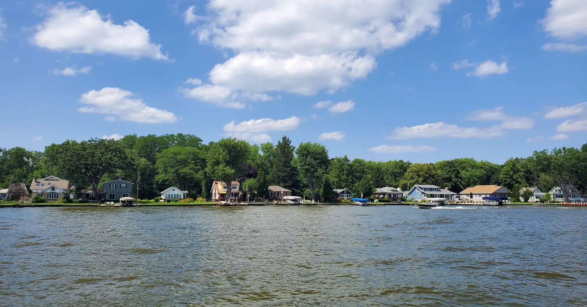 Turtle river 1 20260718_144137.webp