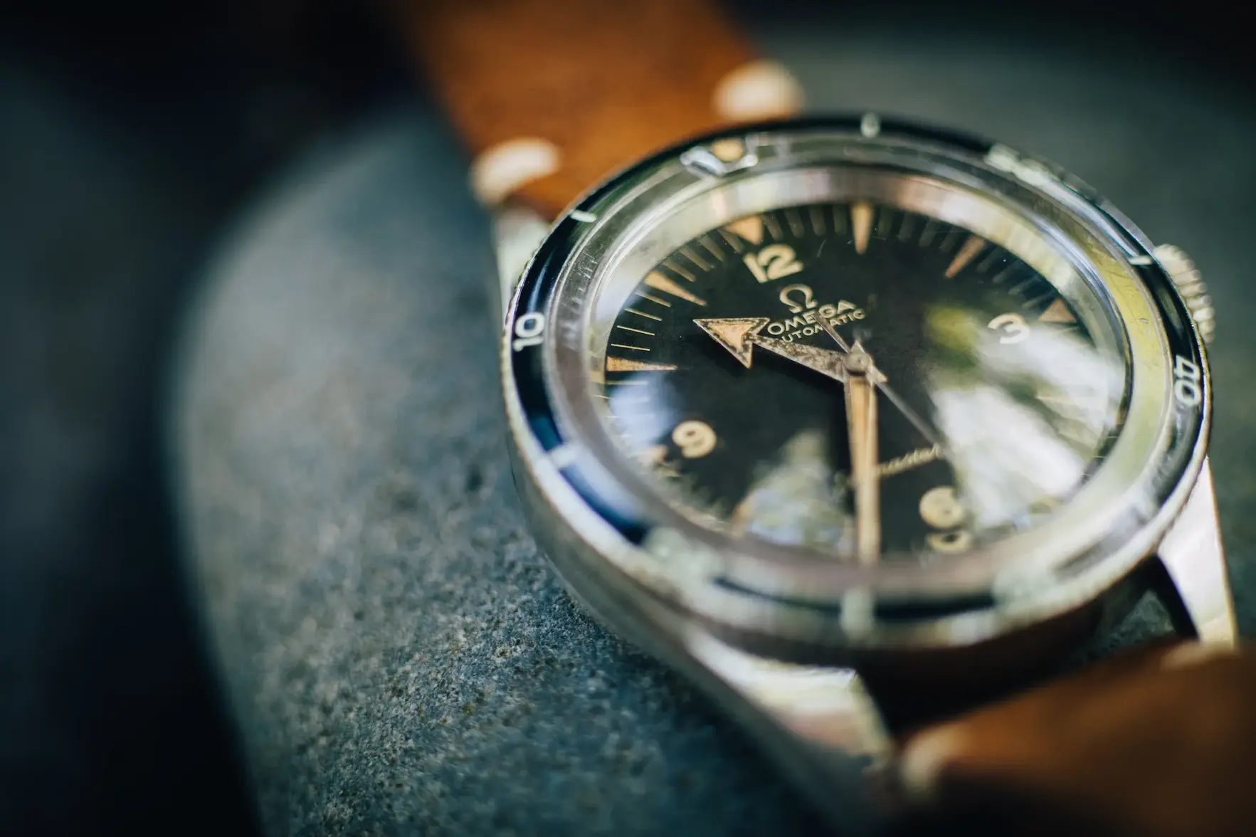 L1008125-2.webp