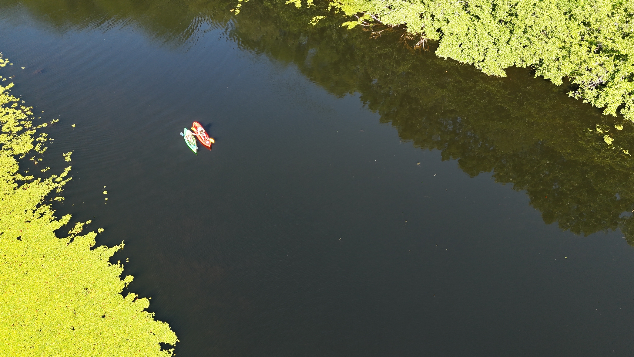dji_fly_20260720_172228_0139_1784582746295_photo_beautify.webp