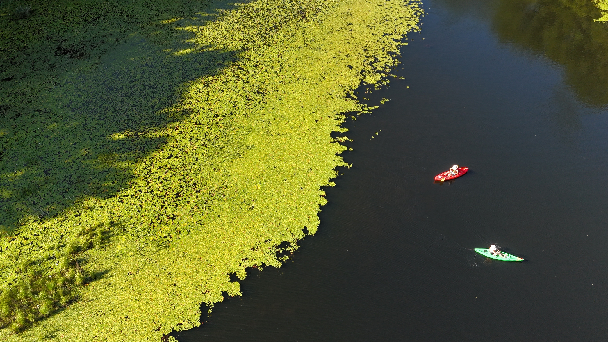 dji_fly_20260720_172250_0140_1784582741728_photo_beautify.webp