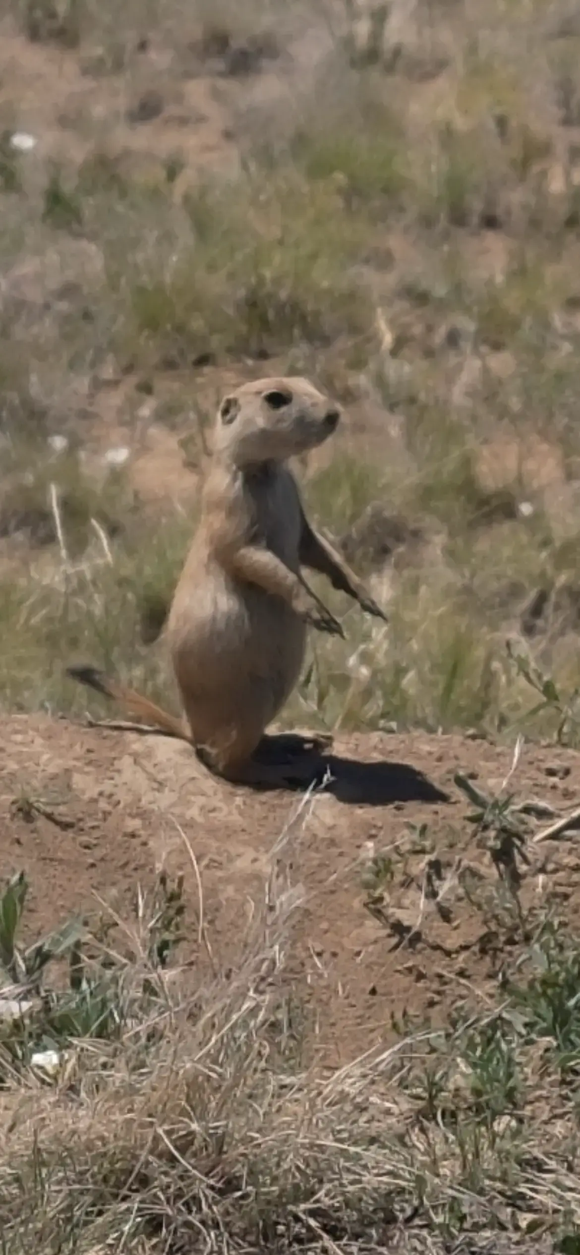 IMG_0017.webp