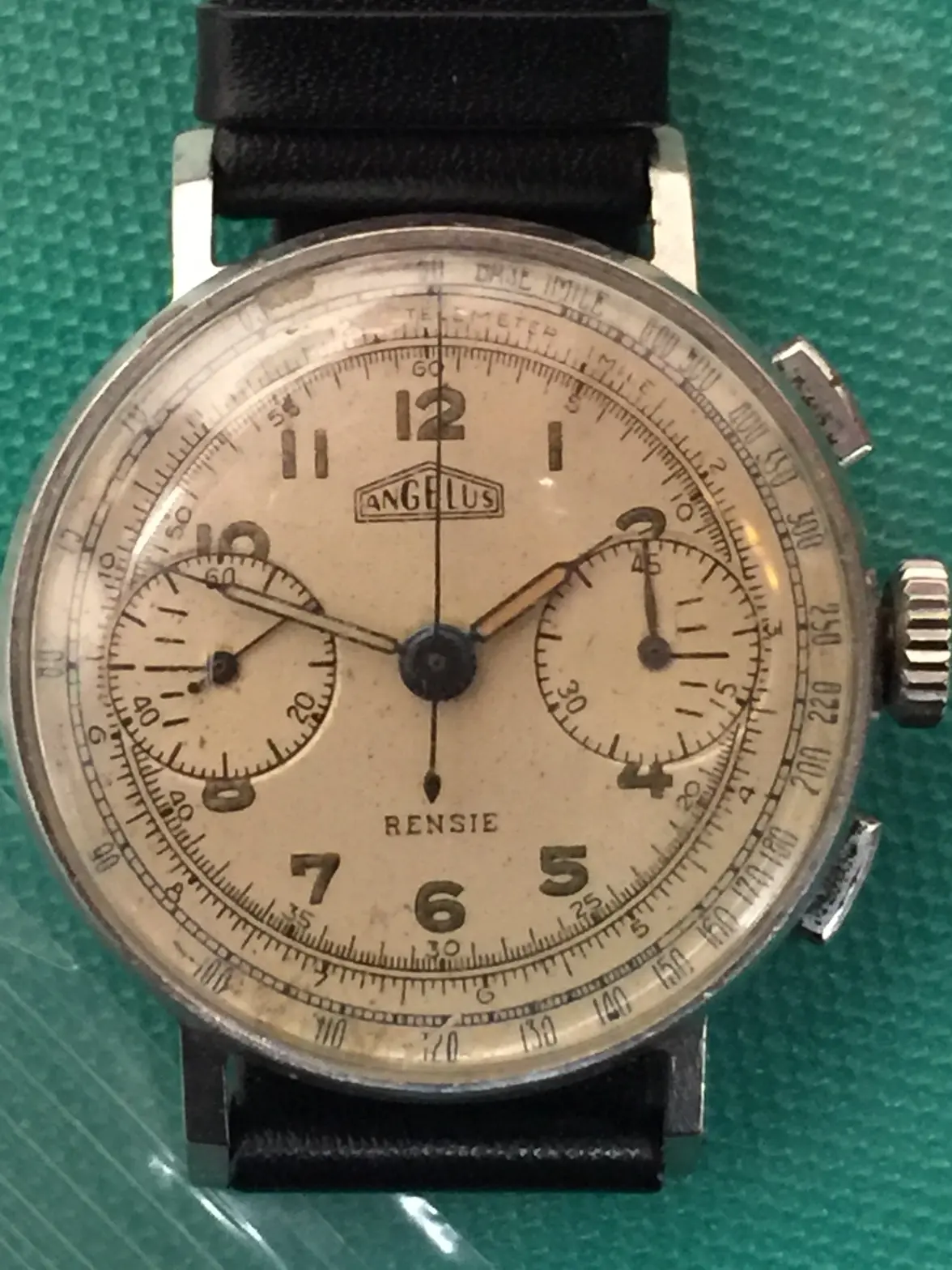 Angelus Chronograph.webp