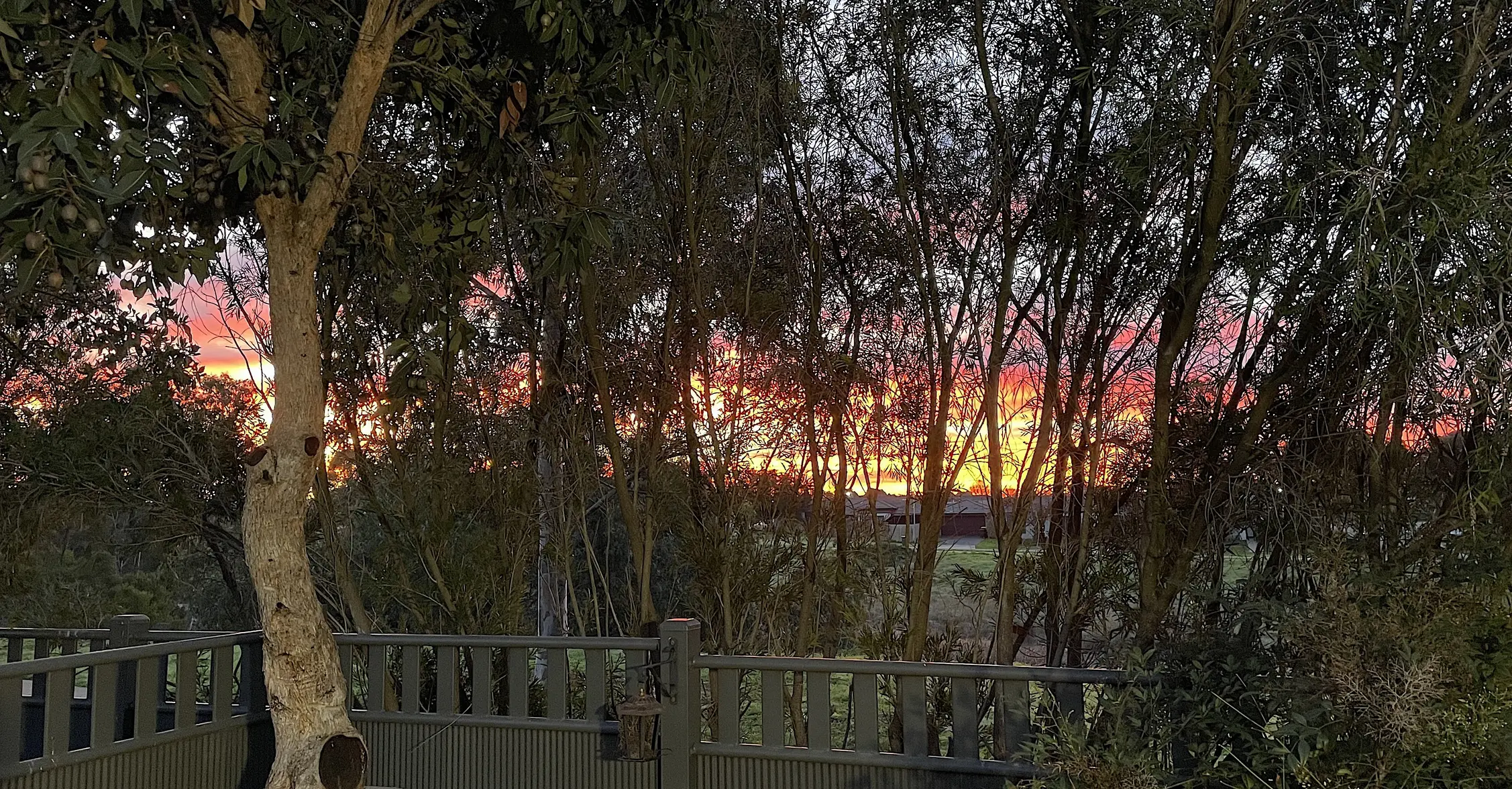 SunriseJUL26.webp