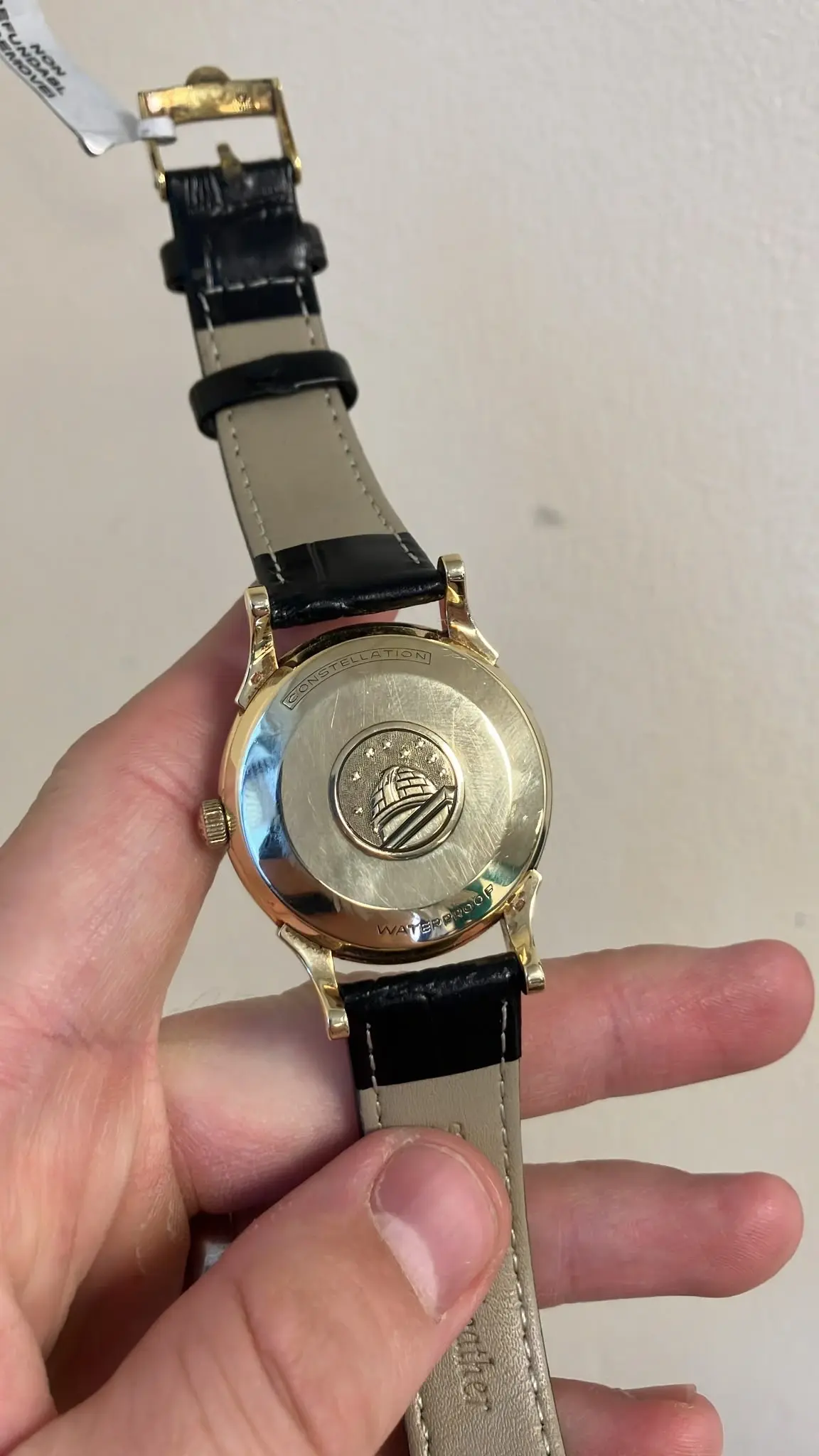 9c07350b-a556-4195-9d60-838a4cd54d87.webp