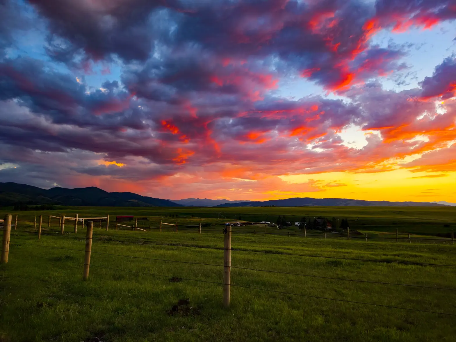 23595.webp