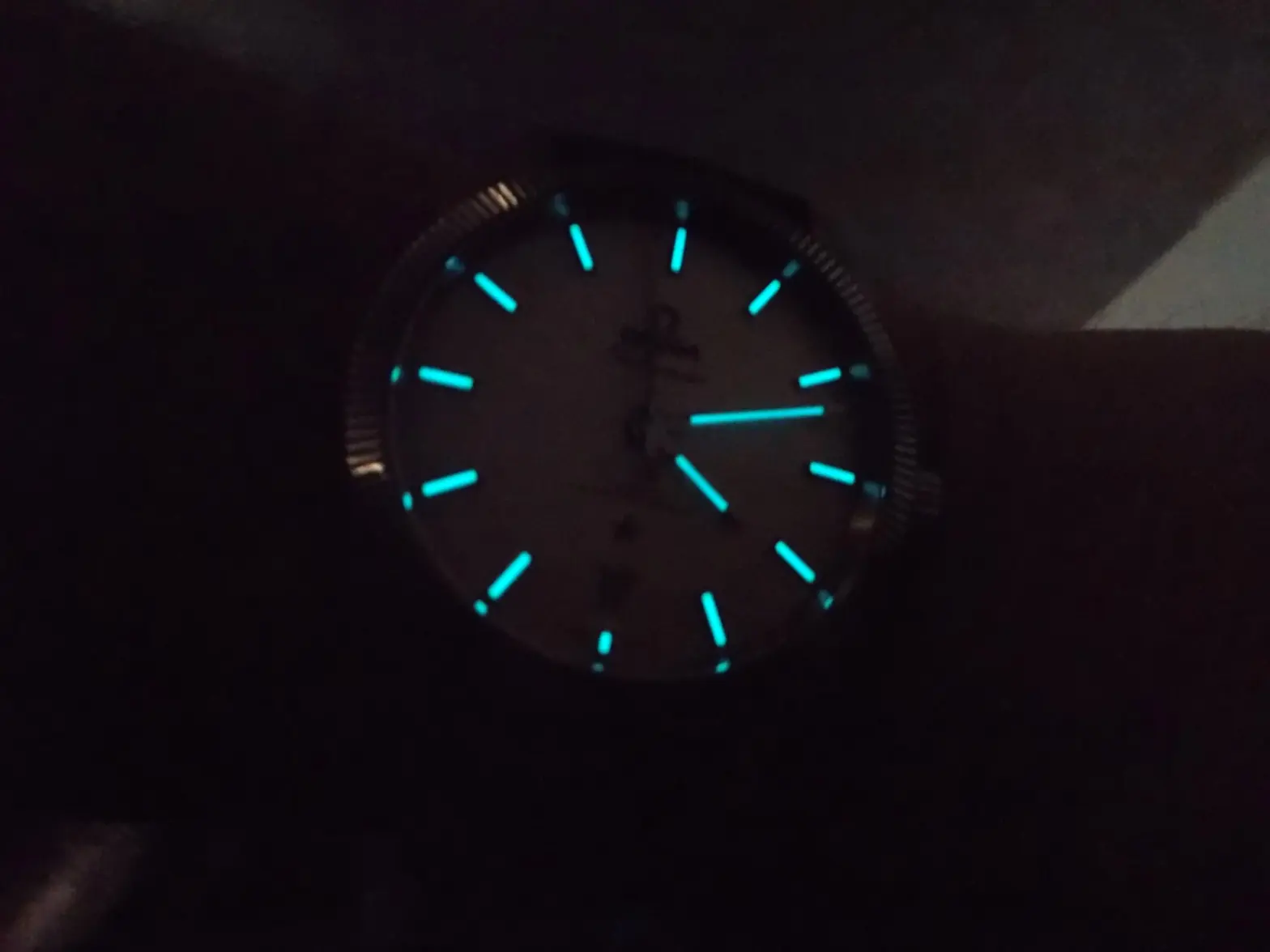 DSCN4692.webp