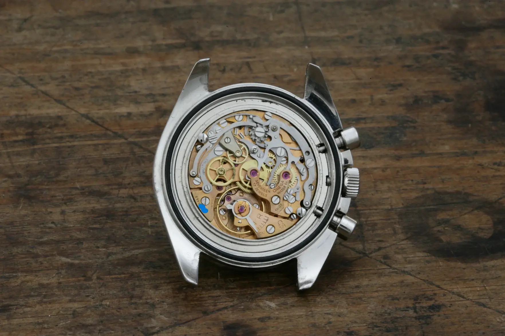 WT6J2993 copy.webp