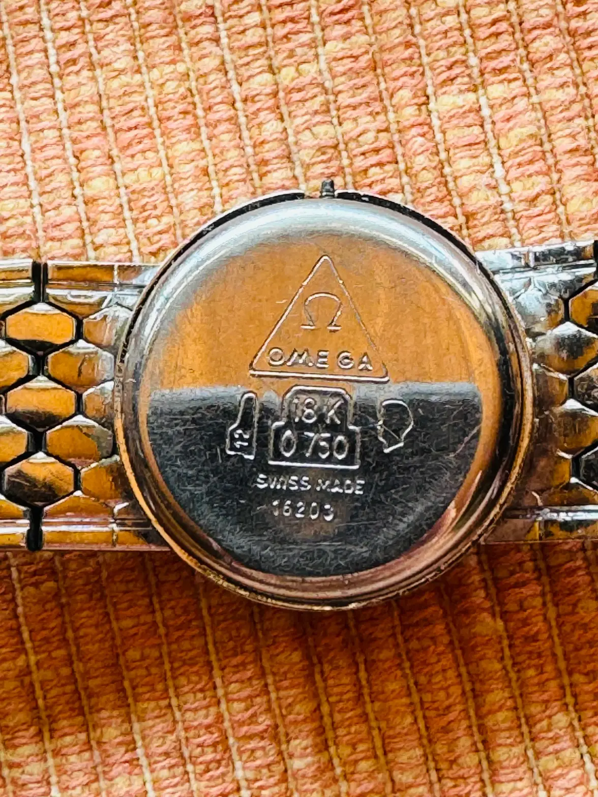 03 caseback .webp