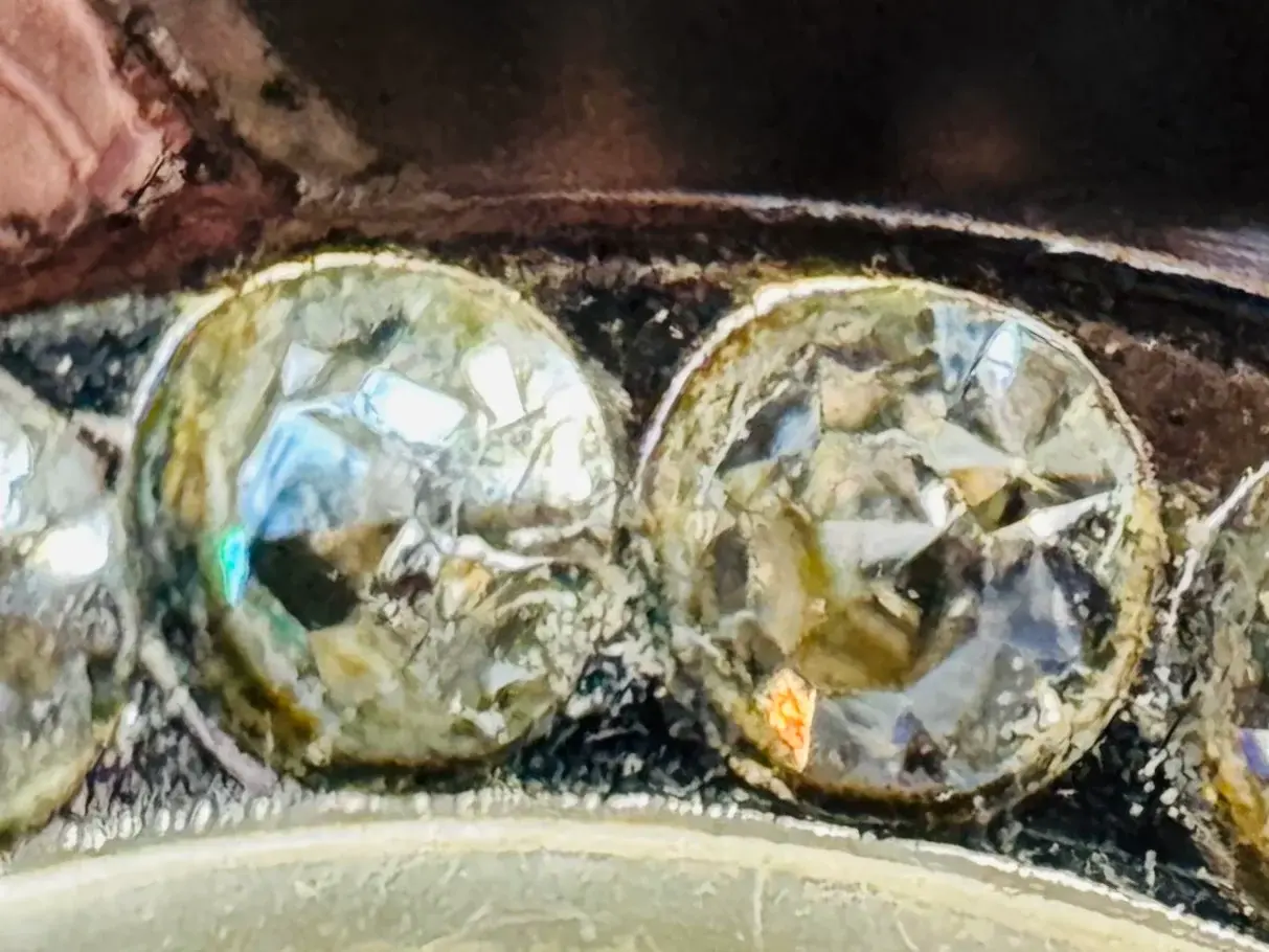 close up3.webp